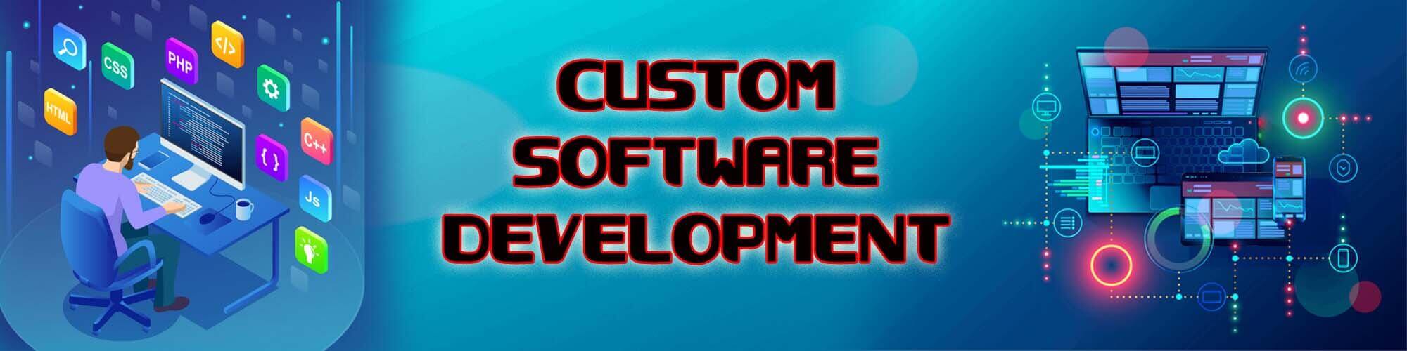 custom software development